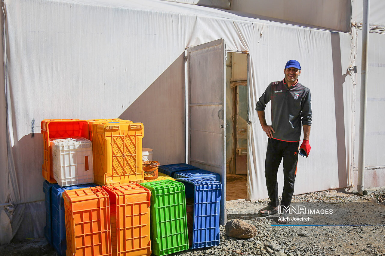 مردی که از فلفل طلا ساخت!