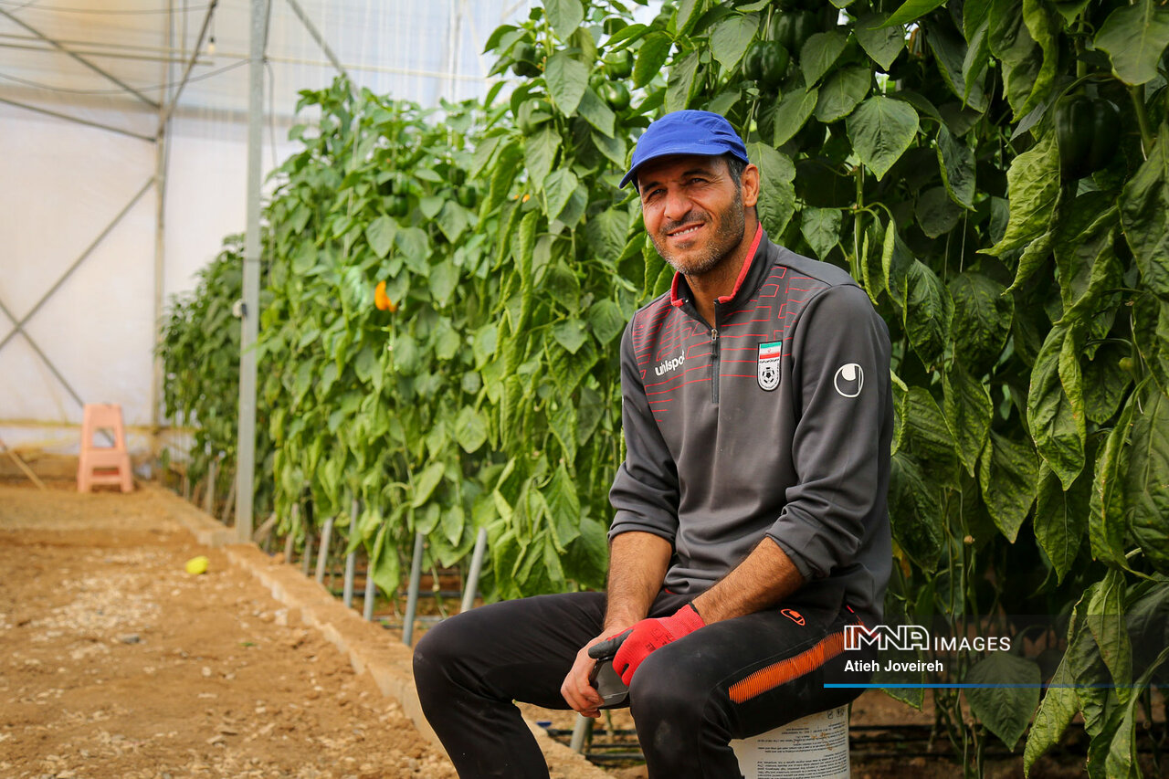 مردی که از فلفل طلا ساخت!