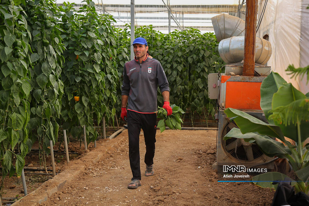 مردی که از فلفل طلا ساخت!