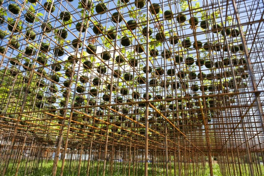 ضرورت حفظ فضاهای سبز برای افزایش سازگاری با رشد جمعیت