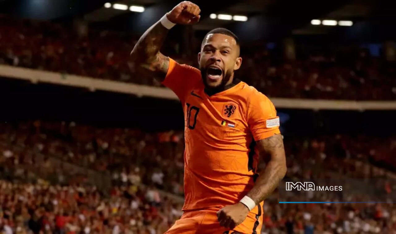 هلند - سنگال؛ دام لالههای نارنجی برای شیرهای ترانگا پهن میشود!