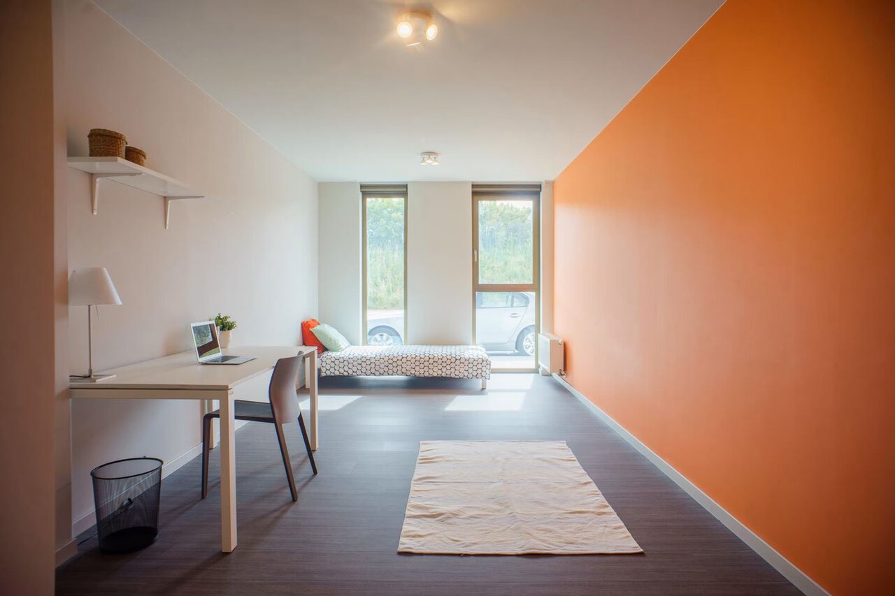 زندگی دانشجویی در خنت آسانتر میشود