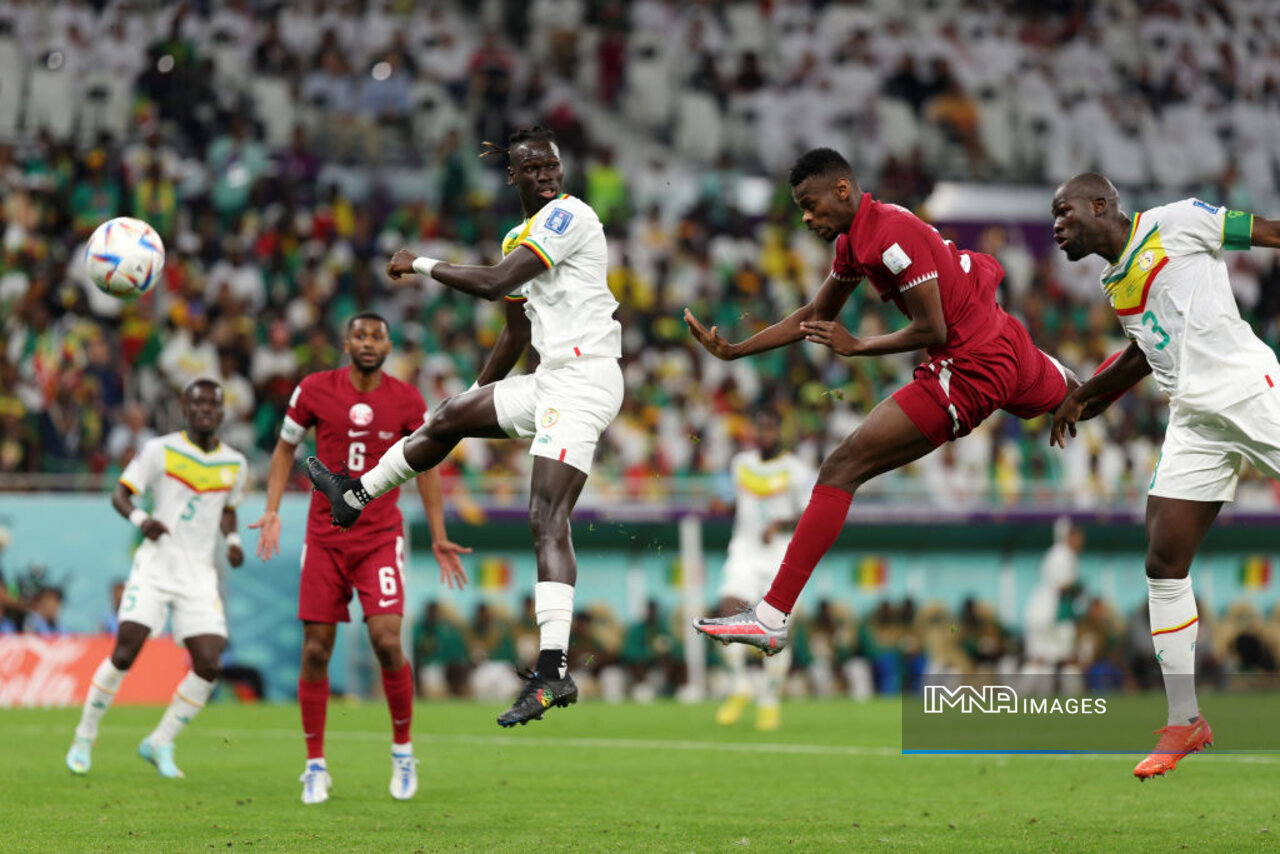 هلند _ قطر/ مِنوی باز پیشروی فنخال و پسران