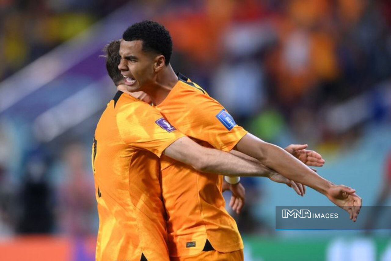 هلند _ قطر/ مِنوی باز پیشروی فنخال و پسران