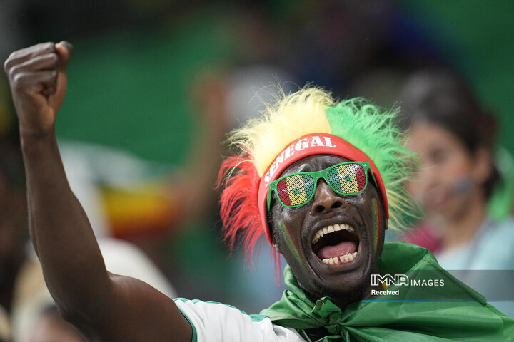 تشویق هواداران سنگالی قبل از شروع بازی گروهی جام جهانی مقابل هلند