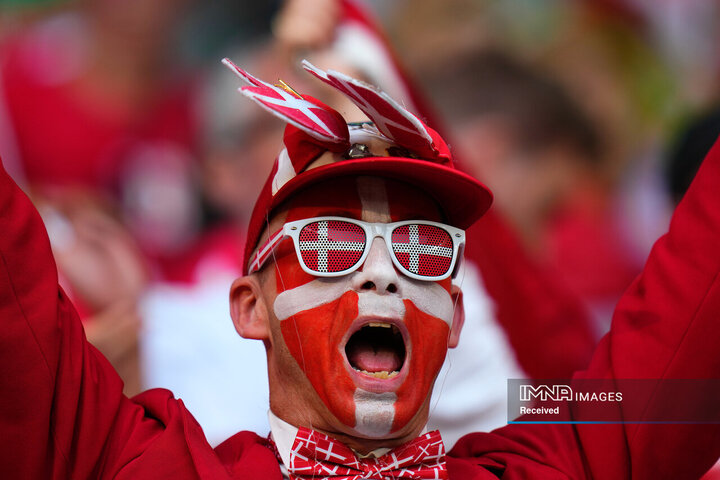 تشویق یک هوادار قبل از شروع بازی دانمارک و تونس