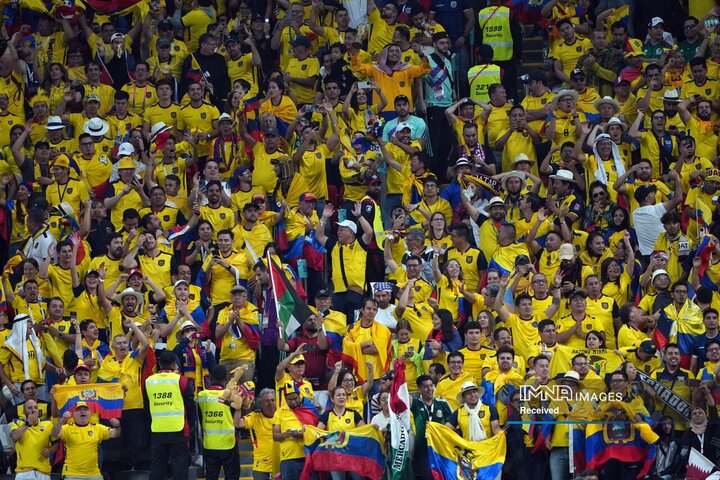 هواداران اکوادور پس از دو برابر شدن برتری والنسیا از این تیم، جشن گرفتند
