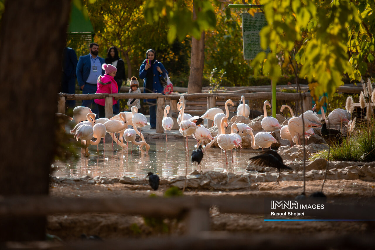 باغ پرندگان اصفهان، جلوهای بینظیر از همزیستی انسان و طبیعت