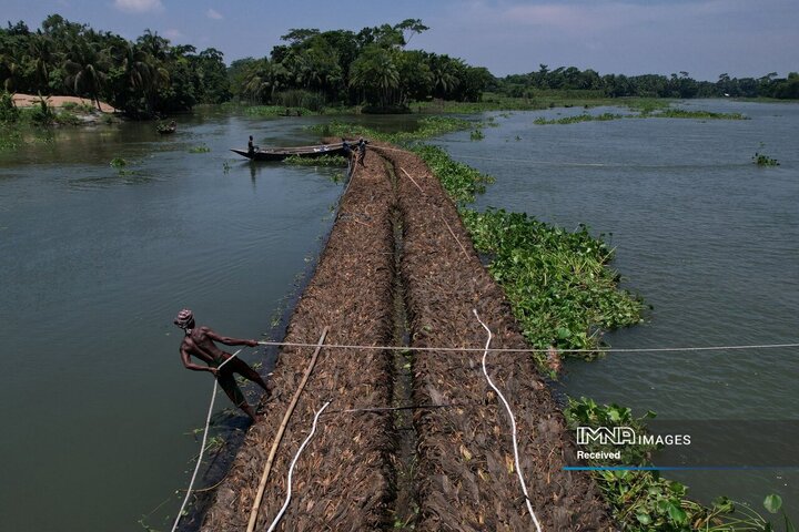 مردی طنابی را در دست دارد در حالی که مردم تخت های شناور را به سمت مزرعه ای در رودخانه بلوا در منطقه پیروژپور، بنگلادش می برند.