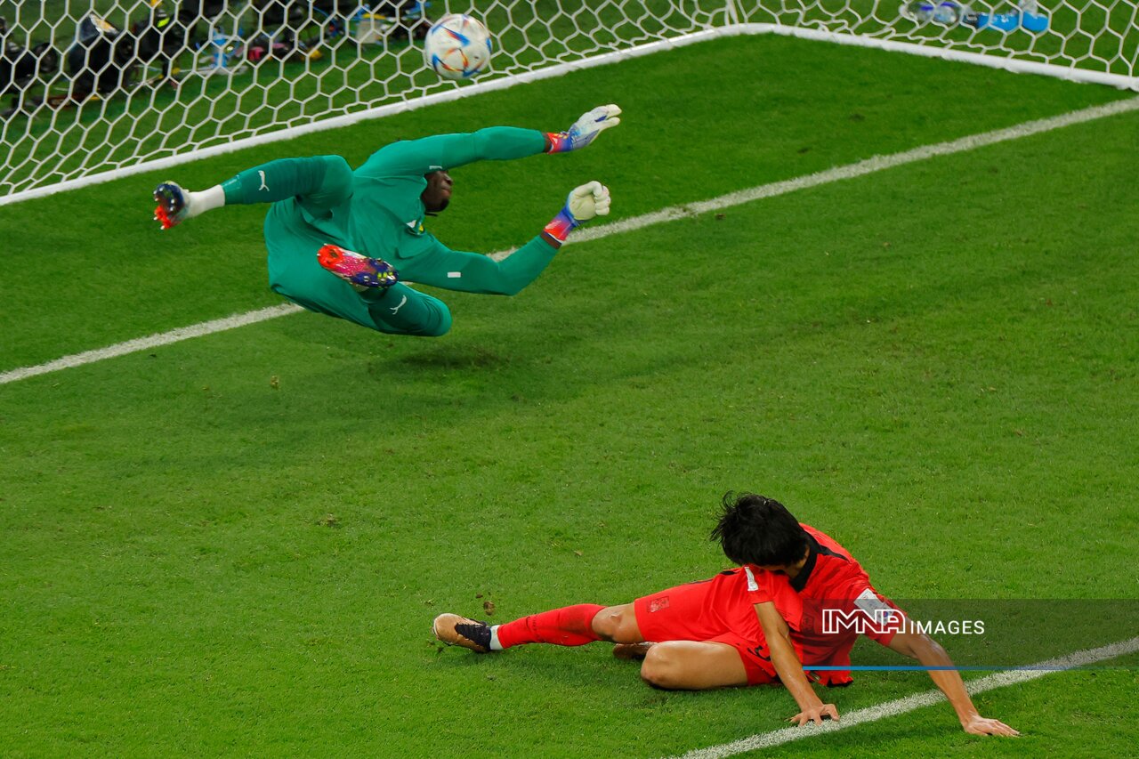 آمار عجیب کره جنوبی در جام جهانی/ ۱۴ شوت و صفر گل، ۲ شوت و ۲ گل! + عکس