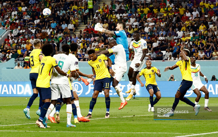 بازی دو تیم اکوادور و سنگال در مرحله گروهی