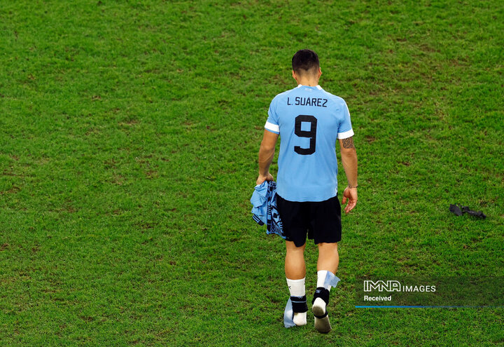 لوئیس سوارز اروگوئه ای پس از حذف اروگوئه از جام جهانی ناراحت به نظر می رسد. این تقریباً آخرین حضور او در جام جهانی بود