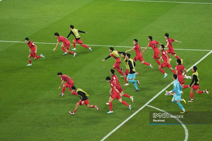بازیکنان تیم کره جنوبی پس از بازی گروه H فوتبال جام جهانی بین کره جنوبی و پرتغال در ورزشگاه شهر آموزش در الریان جشن گرفتند