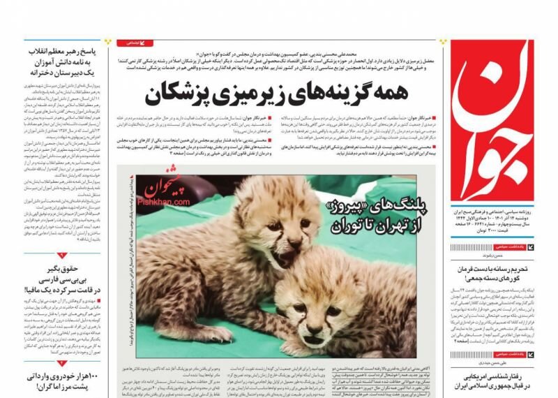 رد پای دلار در جهش قیمت مسکن