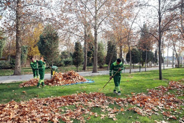 جمع‌آوری ۵۸۰ تن برگ پاییزی از سطح معابر شهری مشهد
