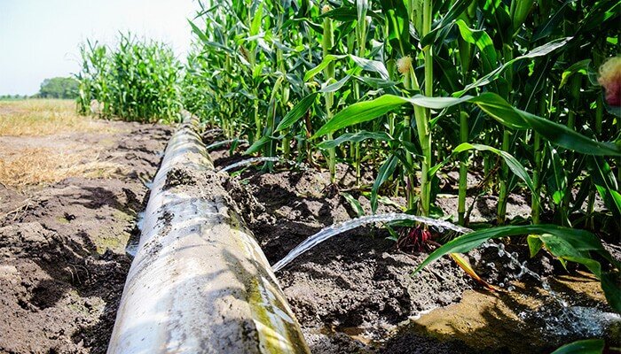 چرا لوله های پلی اتیلن محبوب شدند؟