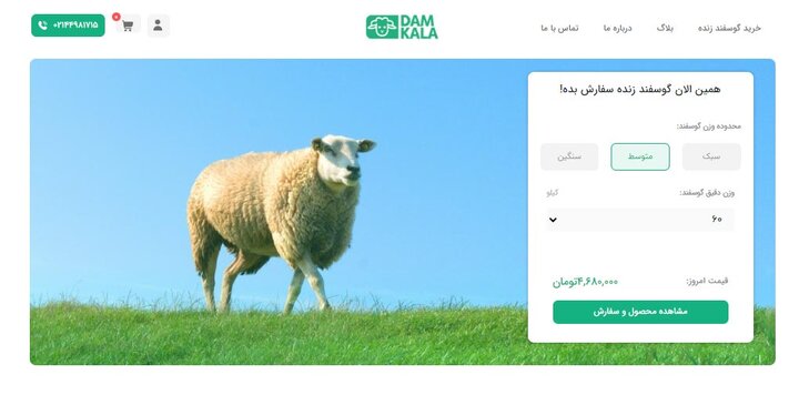 خرید گوسفند زنده با مناسبترین قیمت خرید گوسفند زنده با مناسبترین قیمت