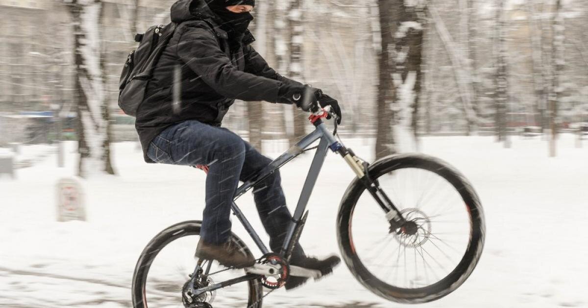 نقشه دیجیتالی مسیرهای یخزدایی شده برای شهروندان سوئدی