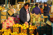 عرضه میوه شب عید از فردا