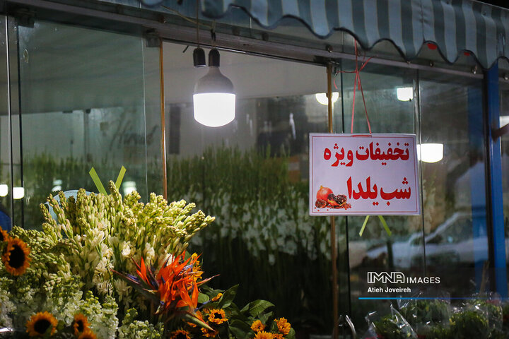 حال و هوای یلدایی بازار گل و گیاه اصفهان