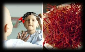 فواید چای زعفران و نکات مهم در هنگام دم کردن زعفران ایرانی