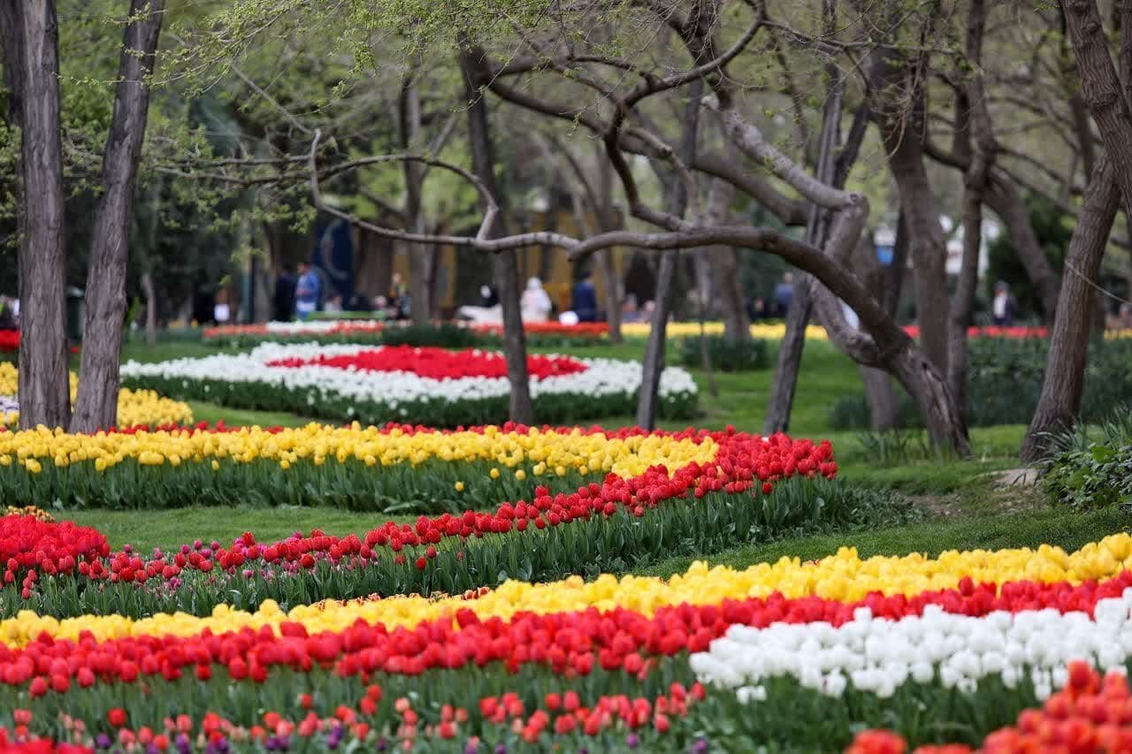 منظرآرایی بهار مشهد با گل‌های رنگارنگ