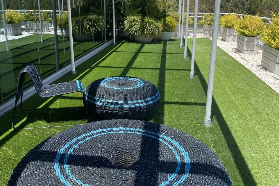 دمیده شدن جانی تازه در کالبد خسته کانبرا