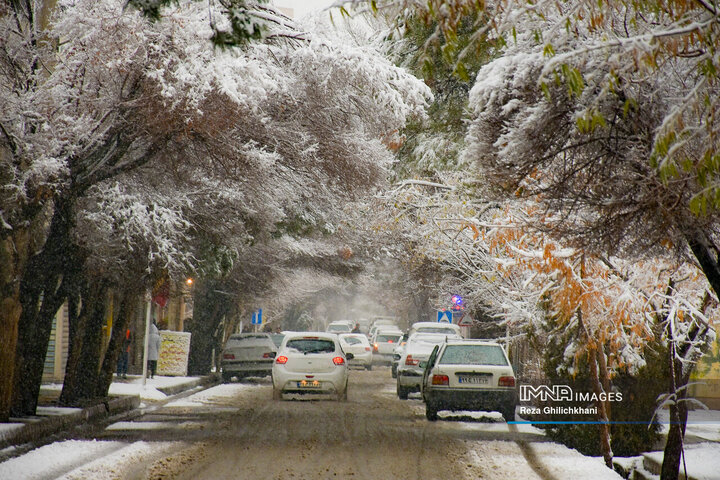 بارش برف در اردبیل و نقاط سردسیر رشته کوه البرز / دمای هوا در نوار شمالی کشور کاهش می‌یابد