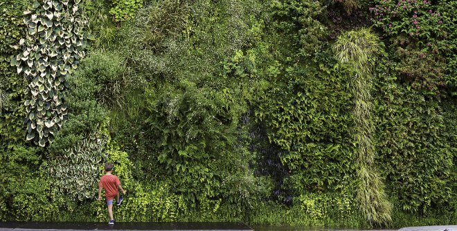 دیوارهای بتنی مادرید، باغ عمودی میشود