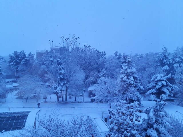 فریمان، سردترین شهر ایران