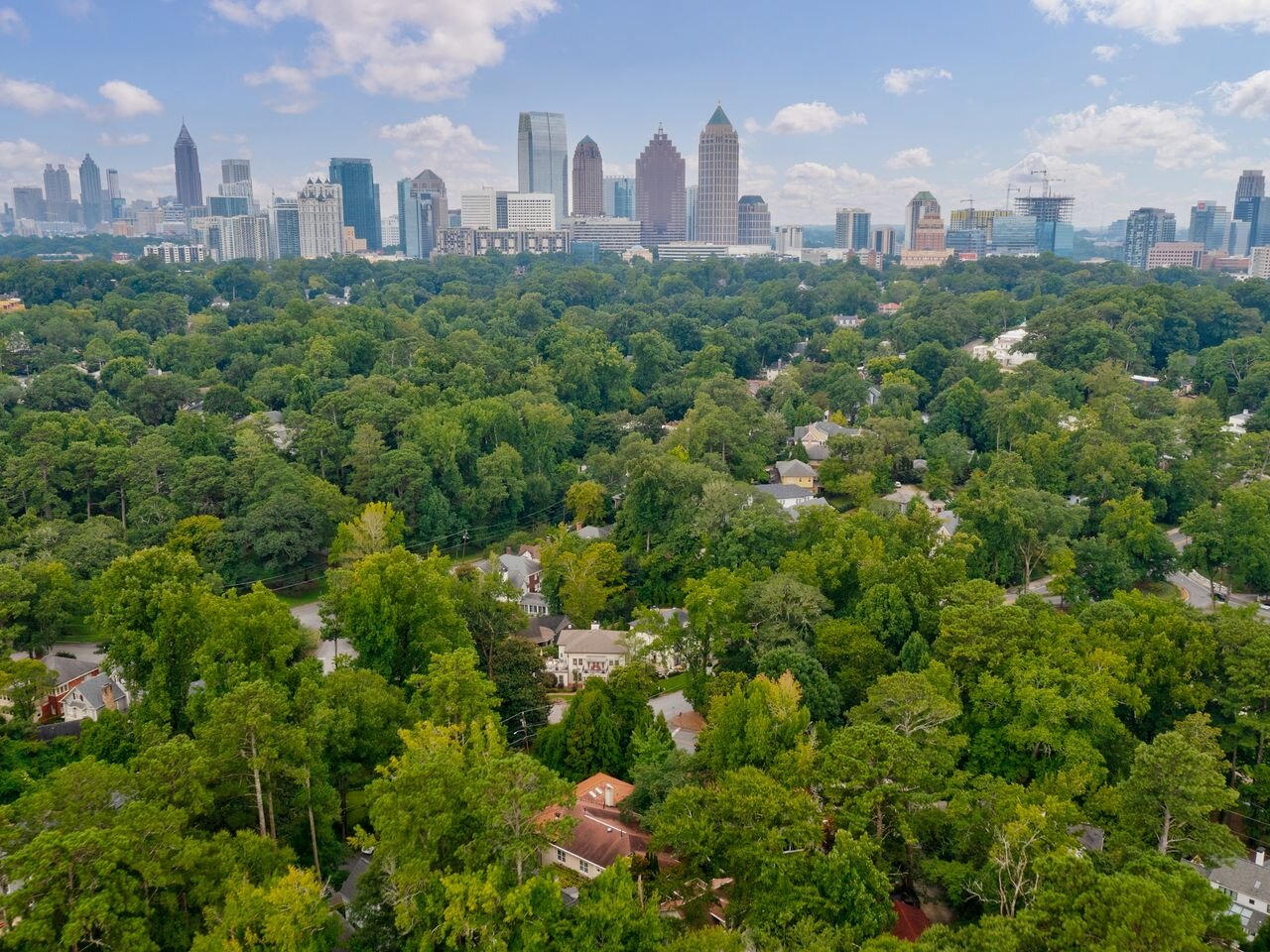 نحوه عملکرد جنگل‌ها بر بهبود کیفیت زندگی شهری