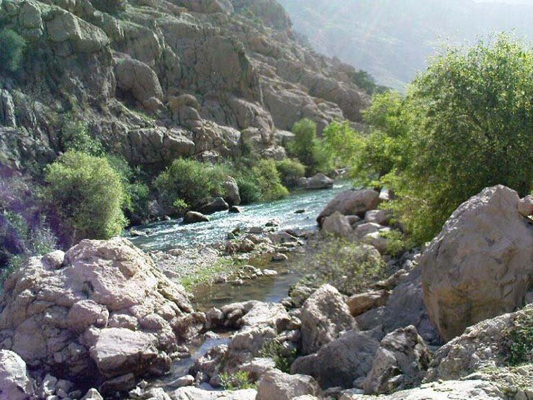 تجربه سفر به جنگل جیغ ایران