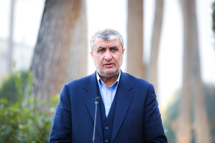 ایران ظرفیت گستردهای در بخشهای مختلف هستهای دارد