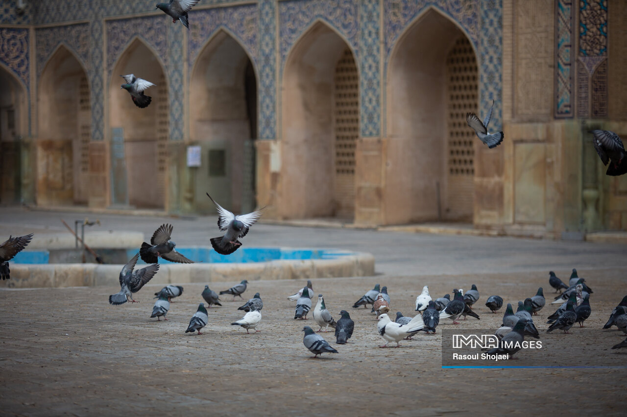 دایرةالمعارف جهان اسلام از گمنامی تا تلاش برای شناخته شدن