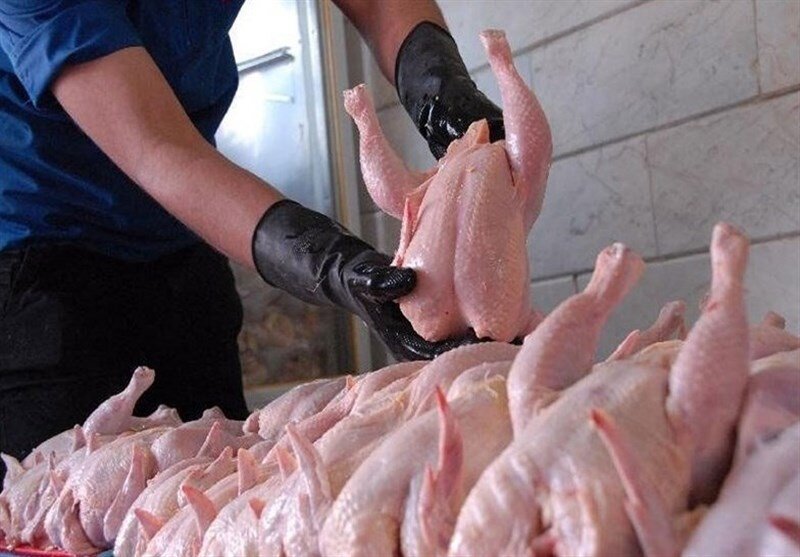 فروش هر کیلوگرم مرغ تازه در میادین میوه و تره‌بار به قیمت ۴۹۵۰۰ تومان