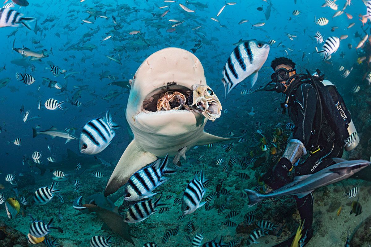 زیباترین مقاصد زیرآبی جهان