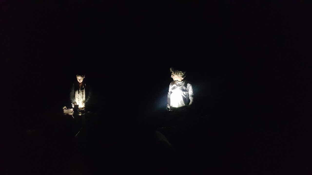 درمانده برای تغییر تقدیر