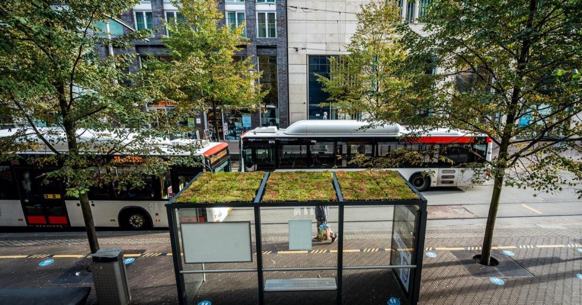 بهترین نمونه راهکارهای مبارزه با تغییرات اقلیمی در شهرها