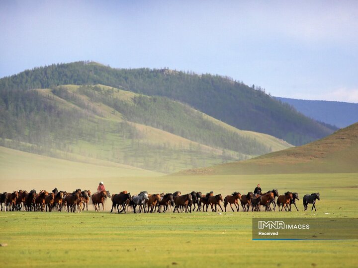 آرخانگای، مغولستان