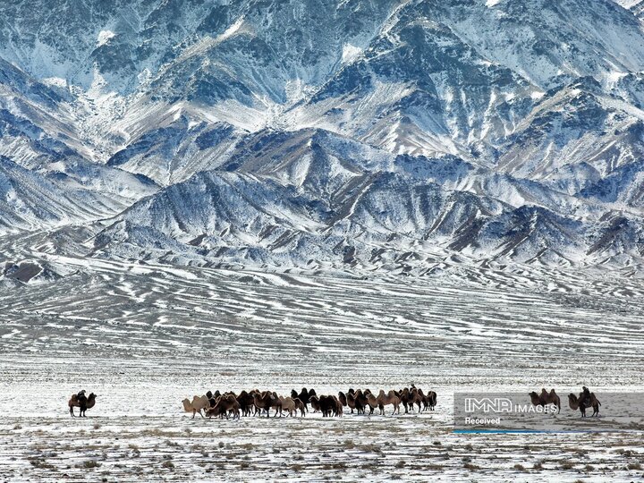 صحرای گوبی، مغولستان