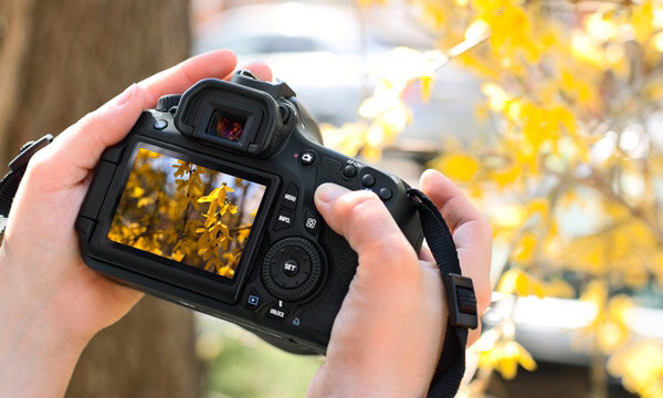 تفاوت دوربینهای عکاسی آنالوگ و دیجیتال