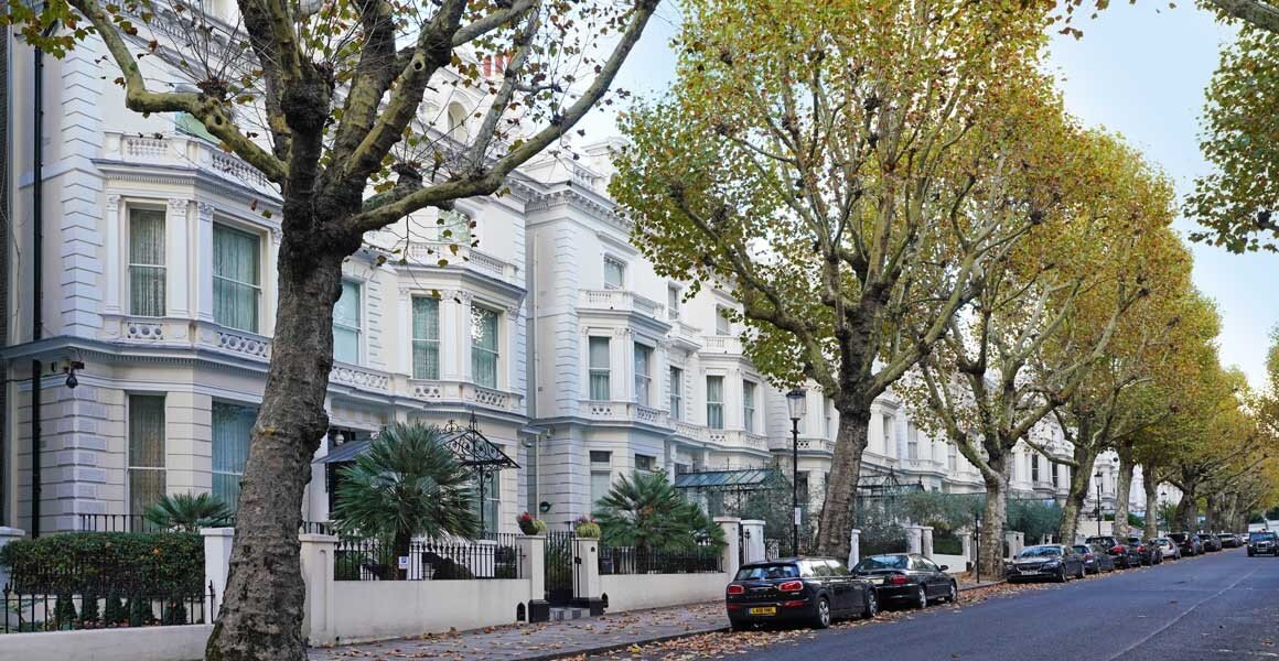 تضمین حیات شهری با افزایش درختان