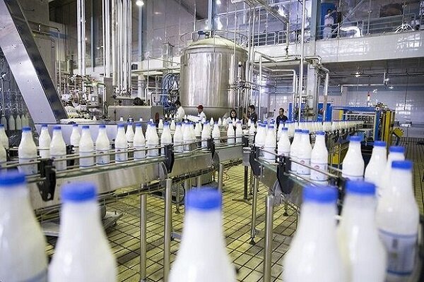 استفاده از شیرخشک در مواد لبنی محدودیتی ندارد