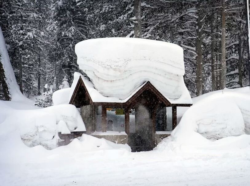 تجربه عجیبترین زمستان در کالیفرنیا