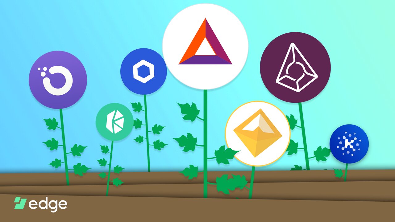 ییلد فارمینگ Yield Farming + استخرهای نقدینگی و ارزش کل قفل شده (TVL)