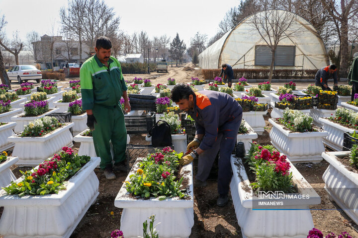 استقبال از بهار در مشهد