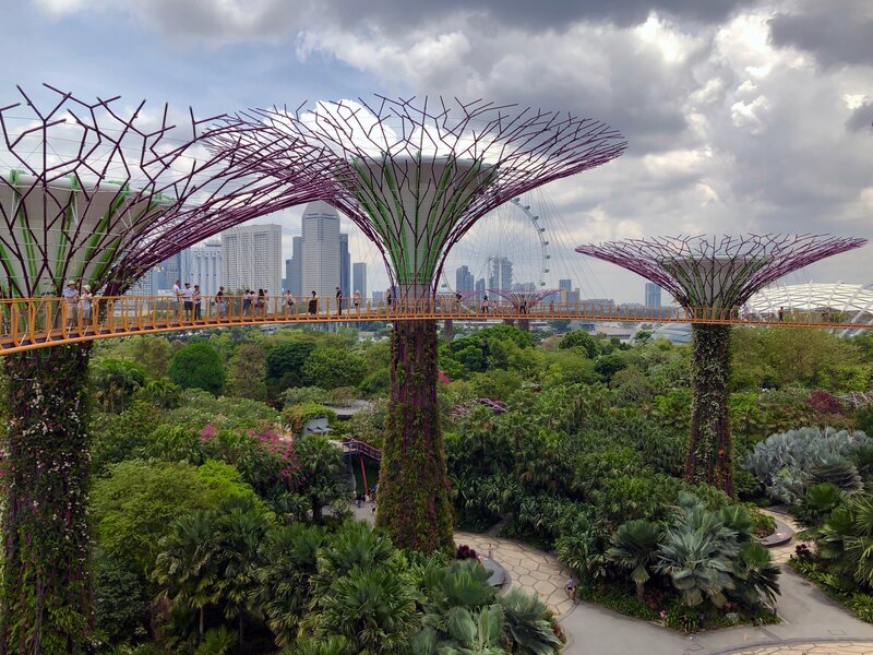 مزایای درختکاری شهری+ شهرهایی با بالاترین پوشش جنگلی در جهان