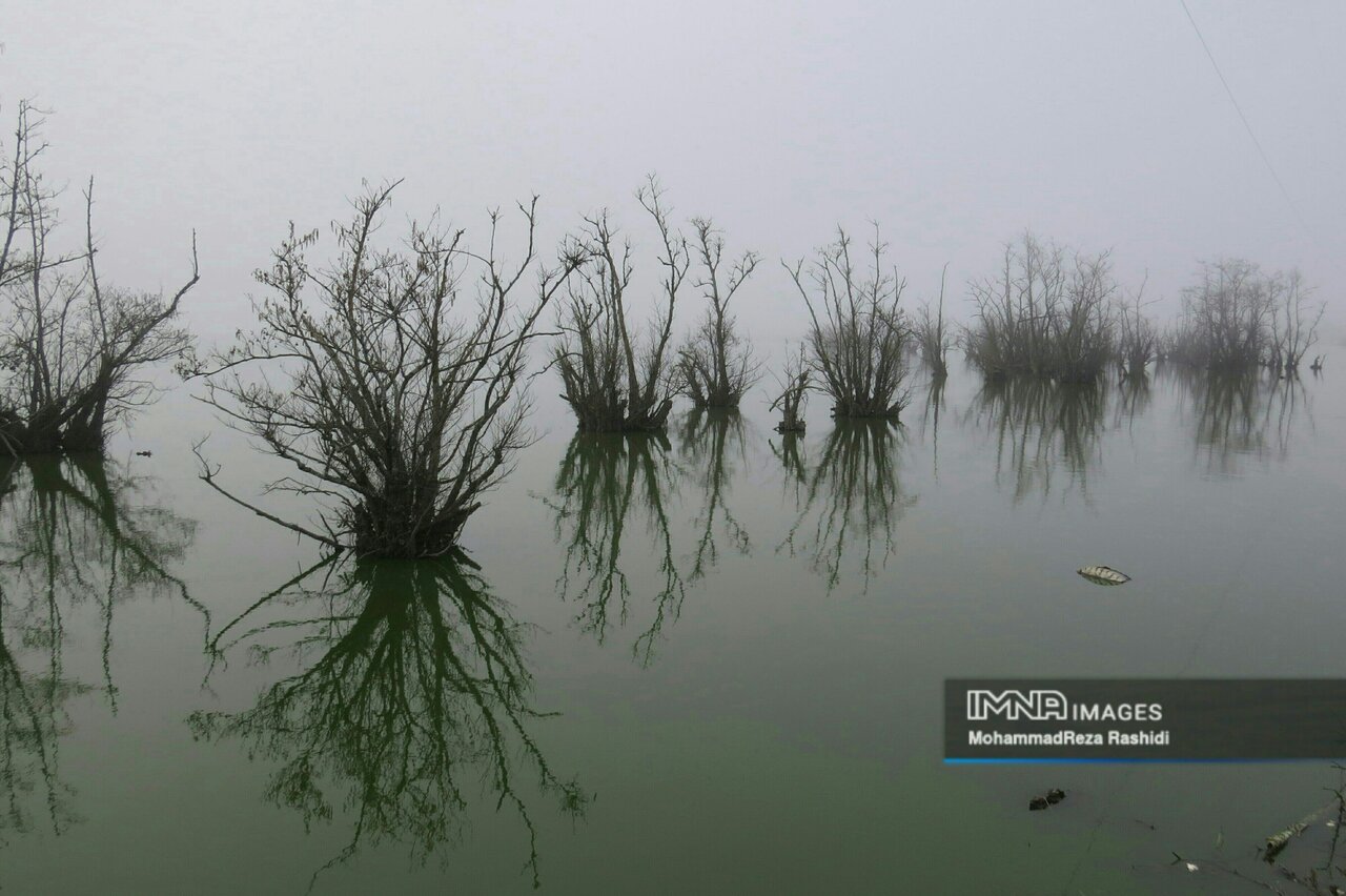 چرا حفاظت از تالابها اهمیت دارد؟