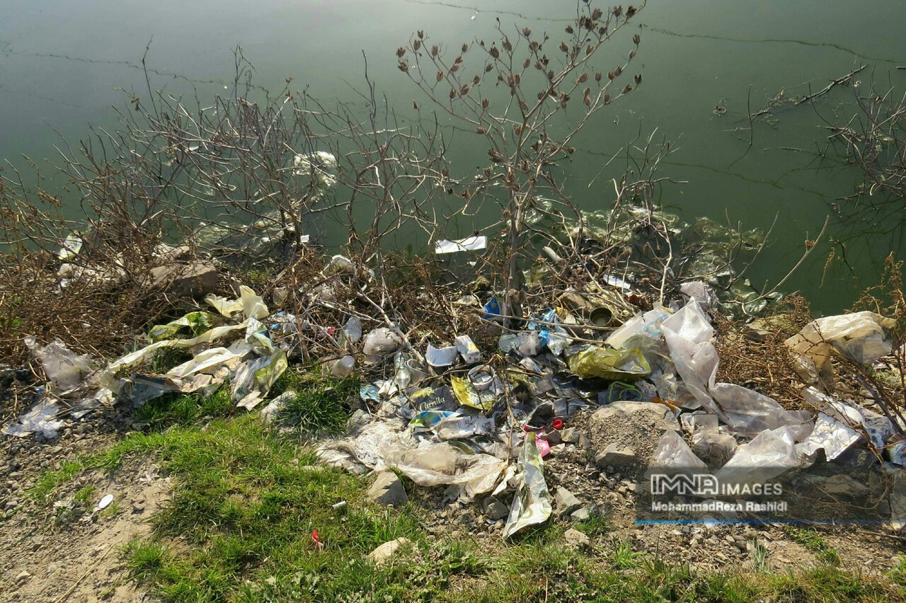 تالاب استیل؛ نگین درخشان در زیستبوم گیلان