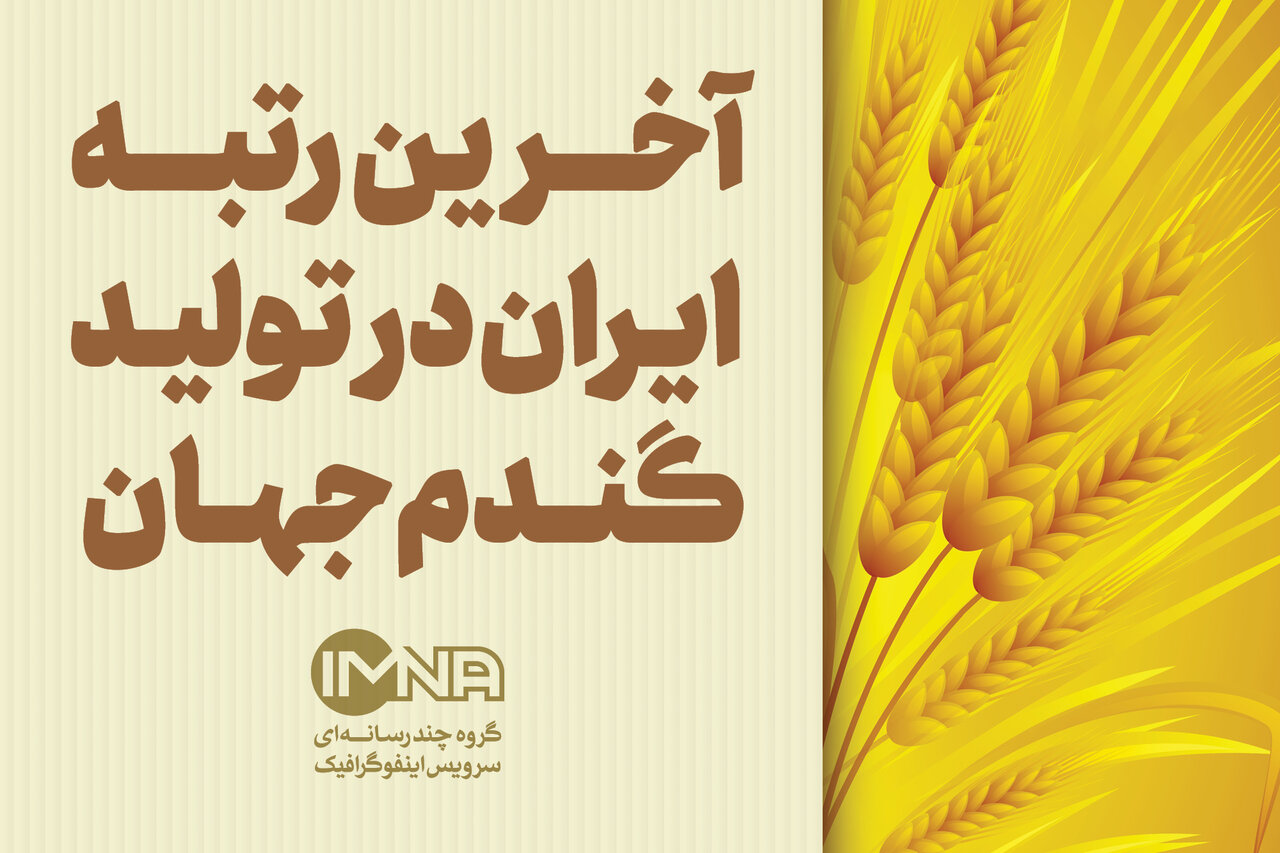 رتبه ایران در تولید گندم جهان + جزئیات